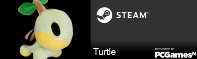 Turtle Steam Signature