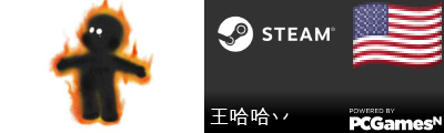 王哈哈丷 Steam Signature